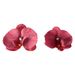 Premium Butterfly Orchid Head Artificial Flower Accessories DIY Handmade Wedding Decoration Petal Hair Clip Headwear_maomaolike.com