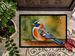 Mandarin Duck Doormat Front Door Mat Indoor Outdoor Rugs For Entryway, Non Slip Washable Low Pile, 24H X 36W_maomaolike.com