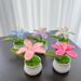 Cross-border Hot-selling Finished Products Potted Lily Martian Orchid Small Ornament Hand-woven Simulated Flower Desk Car Jewelry_maomaolike.com