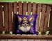 Papillon King Of Mardi Gras Throw Pillow Machine Washable, Indoor Outdoor Decorative Pillow For Couch, Bed Or Patio, 14Hx14W_maomaolike.com
