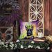 Scottish Terrier King Of Mardi Gras Throw Pillow Machine Washable, Indoor Outdoor Decorative Pillow For Couch, Bed Or Patio, 18Hx18W_maomaolike.com