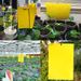 Sticky Insect Board Powerful Flycatcher Yellow Blue Sticker Sheet Greenhouse Pest Control Insecticide Double-sided_maomaolike.com