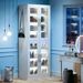 Freestanding Shoe Cabinet With Acrylic Doors And LED Lights_maomaolike.com