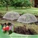 6 Sets Strawberry Supports With 24 Ground Nails Square Strawberry Growing Support Stakes Reusable Cloche Dome For Outdoor Garden Vegetable_maomaolike.com