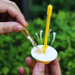 Liquid Drosophila Attractant Wasp Bait Anti Fly Fruit Killer Catcher Orchard Insect Trap Control Tools_maomaolike.com