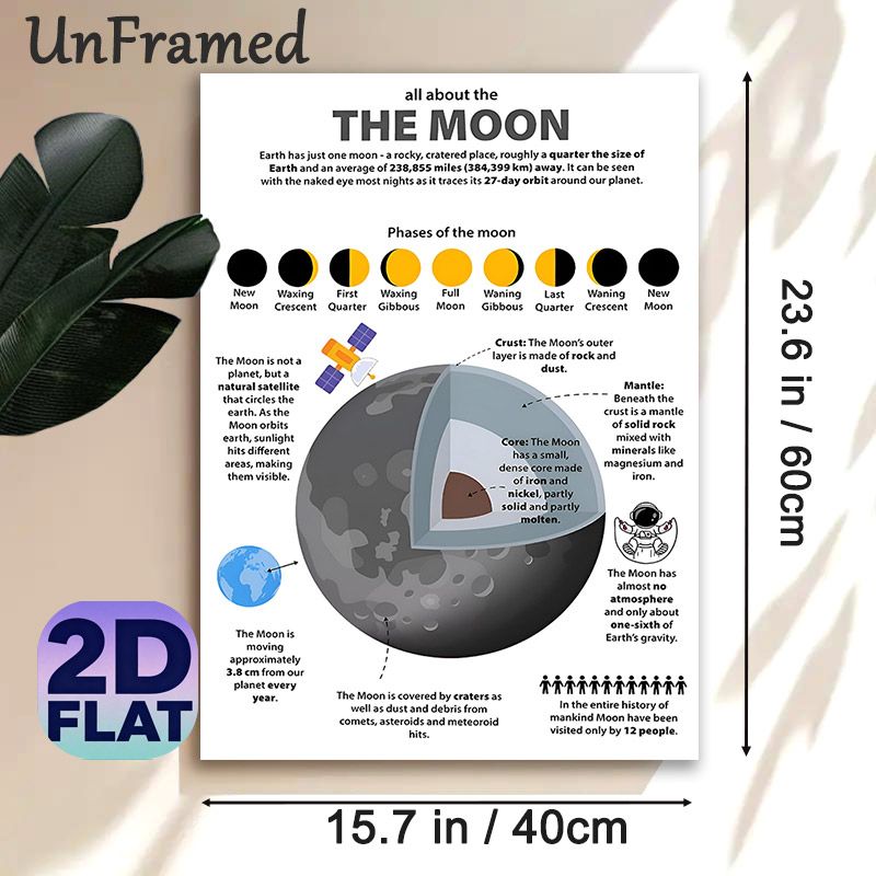 Moon Themed Educational Painting Poster, Informative Illustrated Moon Facts & Phases Infographic Poster, Educational Space-themed Decor Suitable For_maomaolike.com