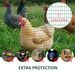 PVC Coated Steel Chicken Rabbit Mesh Fencing Wire Garden Galvanized Fence Border_maomaolike.com