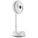 10 Inch Foldable Rechargeable Oscillating Fan 3 In 1 Remote 9 Speeds_maomaolike.com