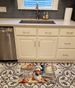 Rhodesian Ridgeback The Chef Memory Foam Kitchen Mat Machine Washable Anti-Fatigue Mat Cushion Comfort Bath Mat Or Kitchen Rug_maomaolike.com