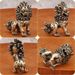 Brass Pair Of Male And Female Big-Headed Lions Home Entrance Tabletop Guardian Little Lion Metal Ornaments Crafts_maomaolike.com