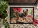 Cairn Terrier Christmas Cookies Doormat Front Door Mat Indoor Outdoor Rugs For Entryway, Non Slip Washable Low Pile, 24H X 36W_maomaolike.com