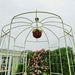 Metal Garden Arch Iron Garden Arbors Gazebo Dia81.3'' X 114.2'' High Birdcage Shape Pergola Pavilion For Wedding Ceremony Outdoor_maomaolike.com
