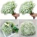 Gypsophila Wholesale, Artificial Photo Props, Decorative Items, Wedding Decorations, Floral Arrangements, Wholesale Fake_maomaolike.com