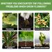 Yegbong Plant Nutrient, Flower Pot Lawn Green Leaf Plant Fertilizer Root Growth Nutrient_maomaolike.com