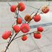 Artificial Berry Ruyi Home Decoration Ornament Plant Fake Persimmon Branch Foam Spray Painted Fruit Display_maomaolike.com
