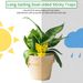 Double-sided Insect Catcher Fly Sticky Trap Board Flycatcher Sticker Plate Pest Traps Bugs For Garden Plant Protection_maomaolike.com