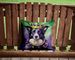 Border Collie King Of Mardi Gras Throw Pillow Machine Washable, Indoor Outdoor Decorative Pillow For Couch, Bed Or Patio, 14Hx14W_maomaolike.com