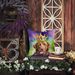 Chesapeake Bay Retriever King Of Mardi Gras Throw Pillow Machine Washable, Indoor Outdoor Decorative Pillow For Couch, Bed Or Patio, 14Hx14W_maomaolike.com
