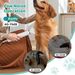 Dog Hair Dryer, 5 In 1 Portable Handheld Dog Dryer With Smart Temperature Adjustment, Dog Blow Dryer With Grooming Brush For Home, Pet Washing Station, Travel_maomaolike.com