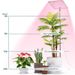 LED Plant Growth Lamp Lifting Full Spectrum Quantum Board Seedling Green Plant Aquarium Succulent Plant Fill Light Factory_maomaolike.com