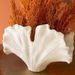 Flower Arrangement High-end Creative Cross-border Retro Ins Style High Appearance Shell Ceramic Vase Ornament_maomaolike.com
