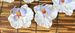 Artificial Flowers European-style Ruffled Edge Phalaenopsis DIY Shoe Flower, Hat Flower Accessories, Hairpin Decoration,_maomaolike.com