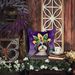 Havanese King Of Mardi Gras Throw Pillow Machine Washable, Indoor Outdoor Decorative Pillow For Couch, Bed Or Patio, 14Hx14W_maomaolike.com