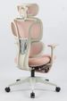 Ergonomic Office Chair With Footrest, High Back Computer Office Chair With Dynamic Lumbar Support, 2D Headrest, 2D Armrest, Sponge Seat, Mesh Home Office Desk Chair For Adults, Pink_maomaolike.com