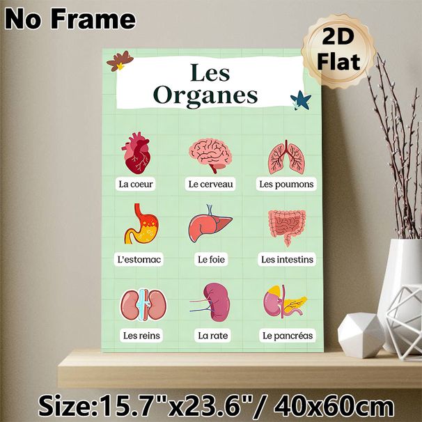 French-Labeled Human Organs Painting Poster, Bright Cartoon-style Anatomical Poster, Informative Design For Learning French Organ Terms, Ideal For_maomaolike.com