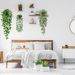 Potted fake hanging plant pothos mandala with potted room desk decoration flower_maomaolike.com