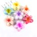 Egg Flower Grab Clip Gradient Flower candy bauhinia back Hair Shark clip hair accessories_maomaolike.com