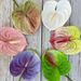 Miniature Red Anthurium Artificial Soft Rubber Texture Succulent Green Home Decoration Flower Arrangement Potted Plant_maomaolike.com