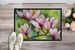 Mississippi Magnolia In Watercolor Doormat Front Door Mat Indoor Outdoor Rugs For Entryway, Non Slip Washable Low Pile, 24H X 36W_maomaolike.com