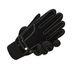 Baishi Tiancheng Men's Pigskin Gloves Touch Screen Winter Outdoor Cycling Plus Velvet Thickened Warm Motorcycle Gloves Women_maomaolike.com