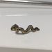 Brass Figurines Set Pure Copper Zodiac Rat Ox Tiger Rabbit Dragon Snake Horse Sheep Monkey Rooster Dog Pig Crafts_maomaolike.com