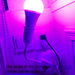 Trendy Photo Props Colorful Seven-Color LED Remote Control Lights Automatic Color Changing Live Background_maomaolike.com