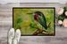 Green Heron Doormat Front Door Mat Indoor Outdoor Rugs For Entryway, Non Slip Washable Low Pile, 24H X 36W_maomaolike.com