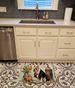 English Bulldog Fall Kitchen Pumpkins Memory Foam Kitchen Mat Machine Washable Anti-Fatigue Mat Cushion Comfort Bath Mat Or Kitchen Rug_maomaolike.com