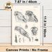 Equine Skull Anatomy Painting Poster, Vintage Detailed Black-and-White Anatomical Illustration Poster, Informative Educational Decor Suitable For_maomaolike.com