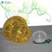 Outdoor Reusable Portable Wasp Catcher Non-toxic Pest Control Garden Multi-hole Bee Trap For Home Farm Yard Supplies_maomaolike.com