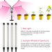 Led Desktop Telescopic Plant Light Full Spectrum Green Plant Aquarium Flower Herb Seedling Plant Growth Fill Light%_maomaolike.com