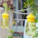Plastic Drosophila Anti Fruit Killer Catcher Orchard Insect Pest Control Fly Bee Trap_maomaolike.com