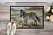 Zebra Doormat Front Door Mat Indoor Outdoor Rugs For Entryway, Non Slip Washable Low Pile, 24H X 36W_maomaolike.com