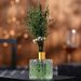 Flameless Essential Oil Home Bedroom Long-lasting Dried Flower Decoration Diffuser For Women Light Fragrance Niche Aromatherapy Wh_maomaolike.com