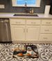 English Bulldog Fall Kitchen Pumpkins Memory Foam Kitchen Mat Machine Washable Anti-Fatigue Mat Cushion Comfort Bath Mat Or Kitchen Rug_maomaolike.com