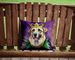 Anatolian Shepherd Dog King Of Mardi Gras Throw Pillow Machine Washable, Indoor Outdoor Decorative Pillow For Couch, Bed Or Patio, 14Hx14W_maomaolike.com