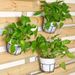 Hanging Flower Pots, Balcony Plant Stands, Outdoor Railing Plant Racks, Space-saving Circular Hanging Plant Holders_maomaolike.com