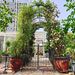 Metal Garden Arch With Gate 79.5'' Wide X 86.6'' High Climbing Plants Support Rose Arch Outdoor Black_maomaolike.com