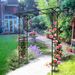 Metal Garden Arch L80.3'' X W20.47'' X H81.1'' Climbing Plants Support Rose Arch Outdoor Black_maomaolike.com