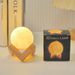 Creative Hand-painted Night Light LED Bedroom Bedside Internet-famous Moon DIY Graffiti Planet Lamp Wholesale_maomaolike.com